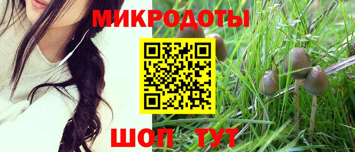 Галлюциногенные грибы Cubensis Лесной