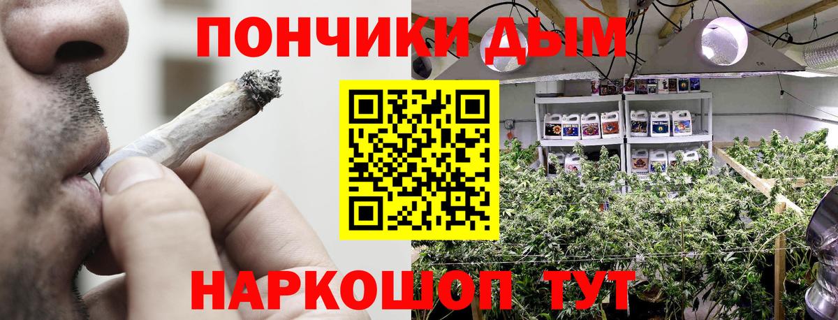 Бошки марихуана конопля  Бошки марихуана VHQ  Лесной  Вход с VPN 